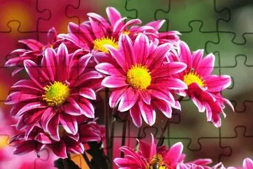 beleza jigsaw puzzle