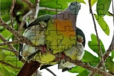 natureza jigsaw puzzle