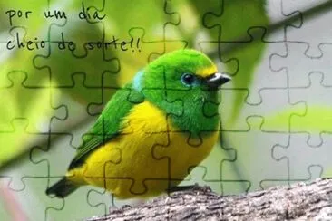 Brasil jigsaw puzzle