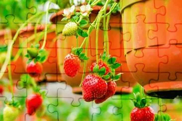 imagem jigsaw puzzle