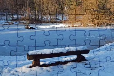 winter am teich jigsaw puzzle