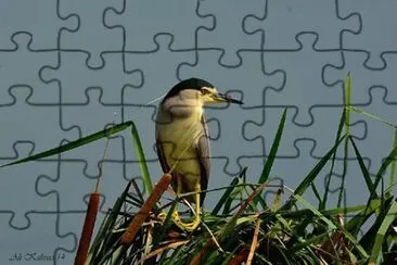 natural jigsaw puzzle