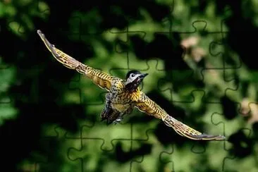 natural jigsaw puzzle