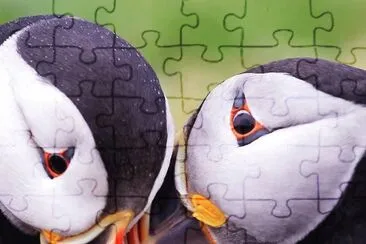 natural jigsaw puzzle