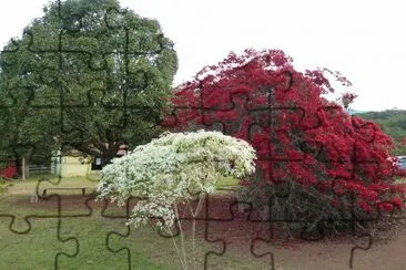 Primavera+2 jigsaw puzzle