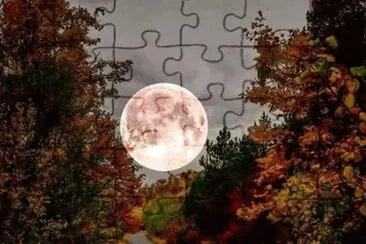 imagem jigsaw puzzle