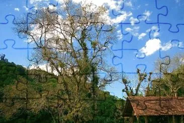 imagem jigsaw puzzle