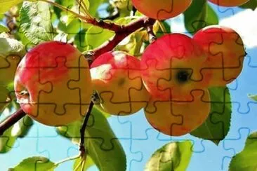 imagem jigsaw puzzle