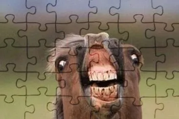 solve the world 's most sexiest puzzle jigsaw puzzle