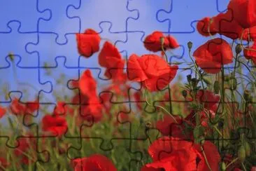 flores campestres jigsaw puzzle