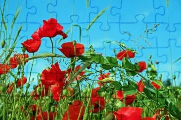 flores campestres jigsaw puzzle