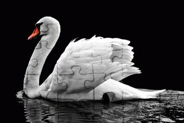 Cisne