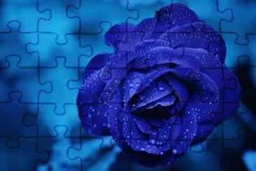 Rosa Azul jigsaw puzzle