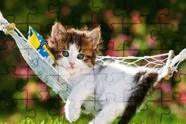 Hermosos Gatito jigsaw puzzle