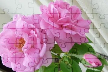 imagem jigsaw puzzle