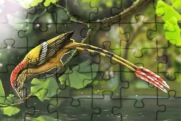 natural jigsaw puzzle