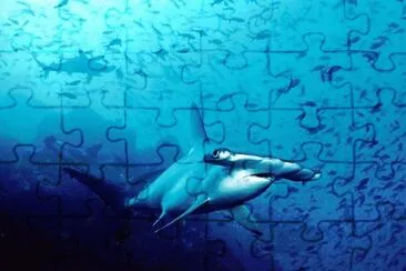 natural jigsaw puzzle