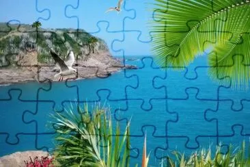 Litoral Norte jigsaw puzzle