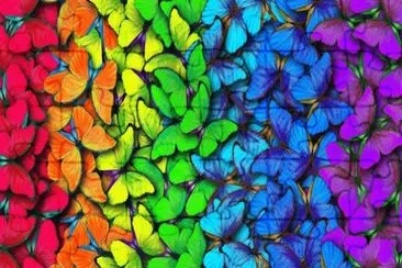 פאזל של Colorful Butterflies