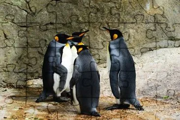 Pinguins