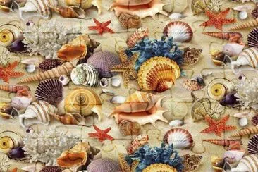 Cosas del mar jigsaw puzzle