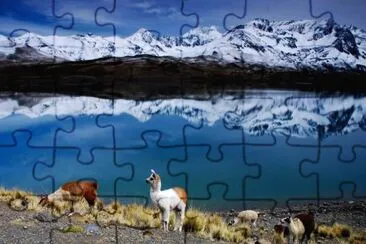 Paisaje Boliviano jigsaw puzzle