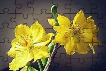 imagem jigsaw puzzle