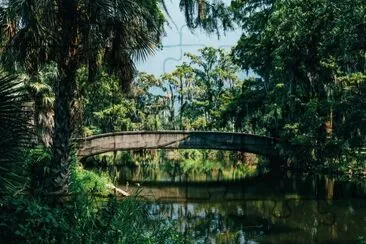 Ponte Baixa