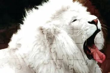 Lion White jigsaw puzzle