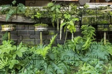 Nature Reclaimed - Croatian Bar