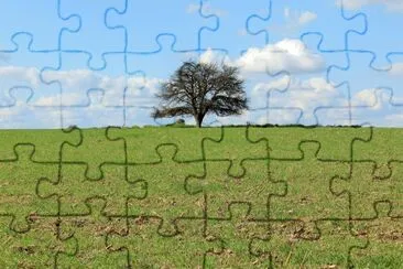 Solitario jigsaw puzzle