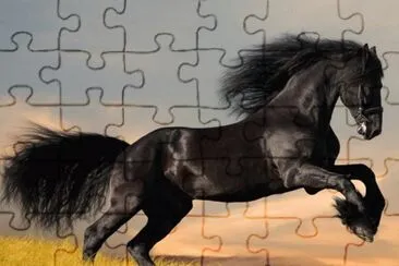 Arab_horse jigsaw puzzle