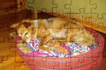 sleeping skubi jigsaw puzzle