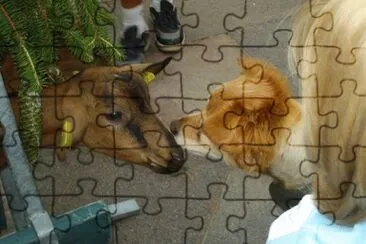 meeting jigsaw puzzle