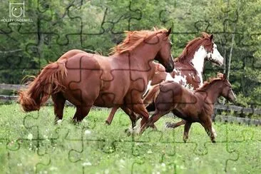 Horse family jigsaw puzzle