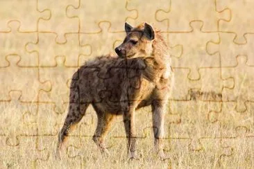 Iena macchiata jigsaw puzzle