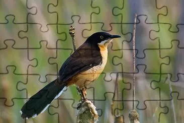 Scricchiolo mimo jigsaw puzzle