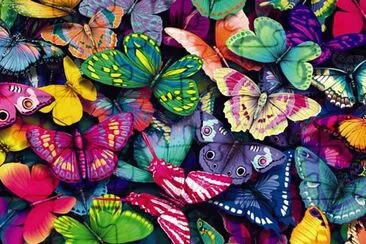 MARIPOSAS