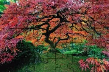 paisaje jigsaw puzzle