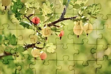 Nature jigsaw puzzle