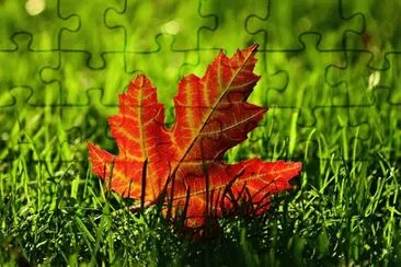 Nature jigsaw puzzle