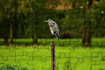 Nature jigsaw puzzle