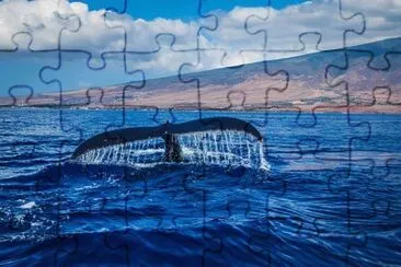 Nature jigsaw puzzle