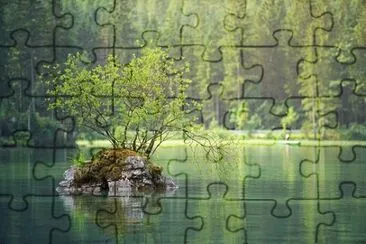 Nature jigsaw puzzle