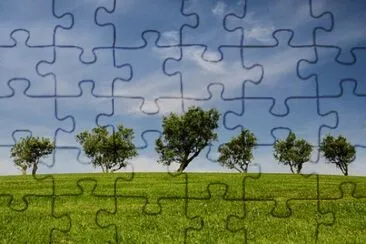 Nature jigsaw puzzle