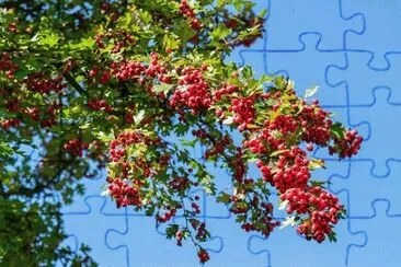 Nature jigsaw puzzle