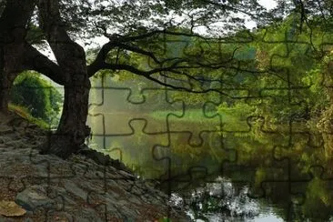 Nature jigsaw puzzle