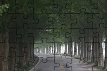 Nature jigsaw puzzle