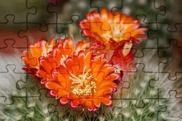 Nature jigsaw puzzle