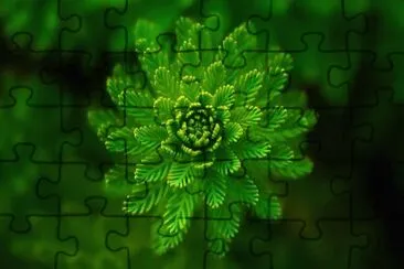 Nature jigsaw puzzle